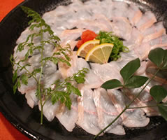 fresh sashimi